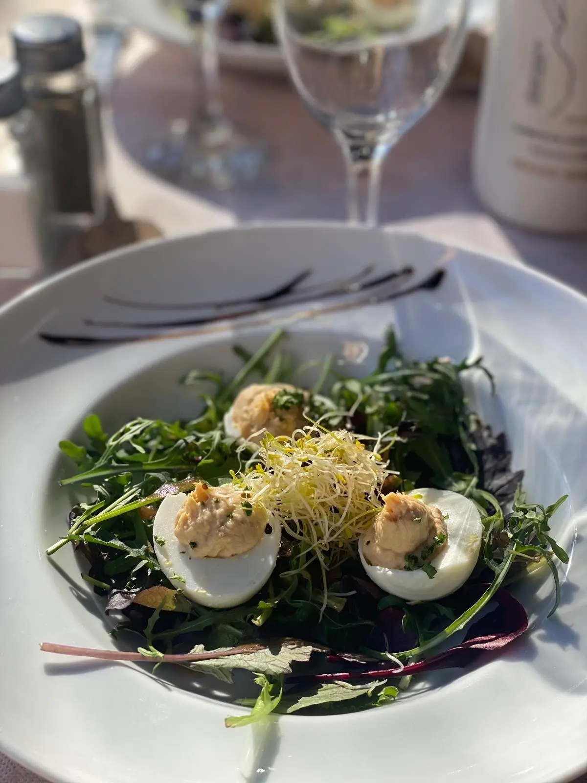 Œufs mimosa sur un lit de roquette et de feuilles de betterave