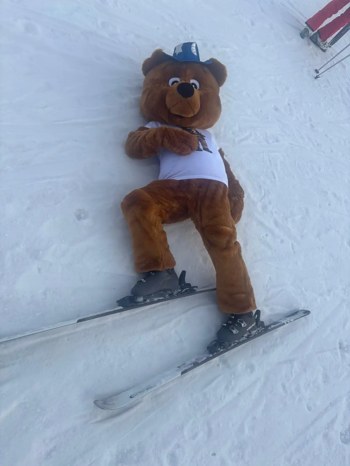 La mascotte ours de Mamie Jo, skis aux pieds, allongée dans la neige