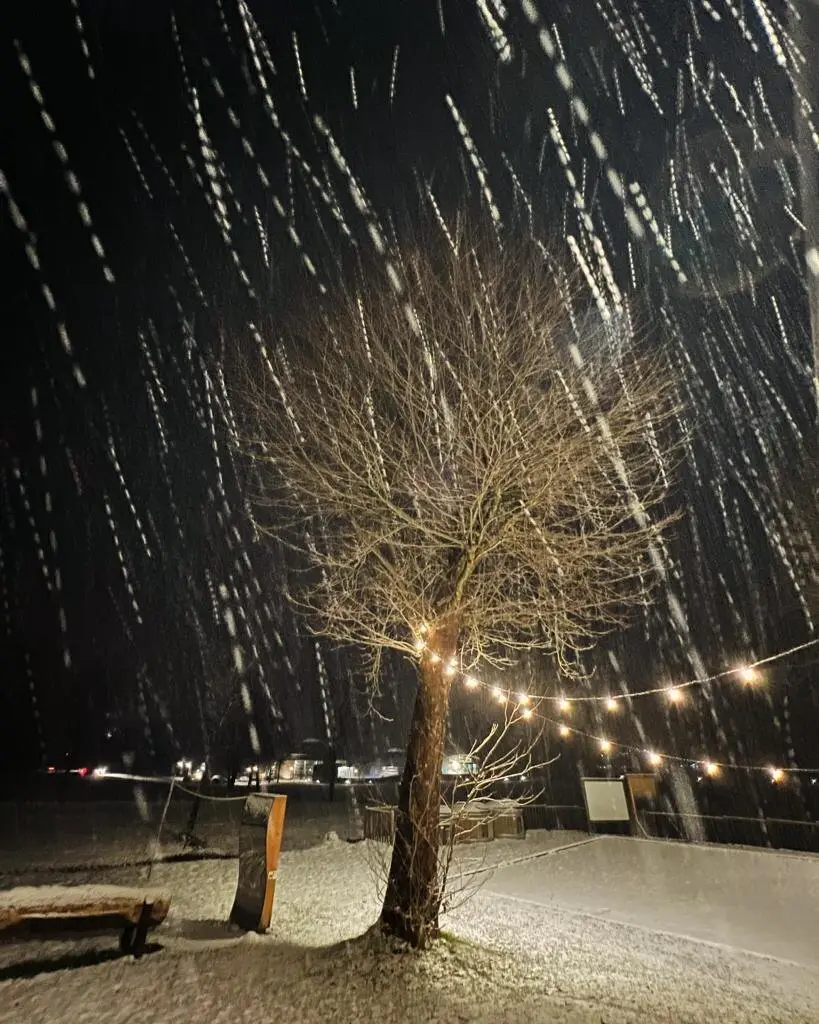 La terrasse du chalet la nuit, sous la neige qui tombe, guirlandes lumineuses autour d'un arbre